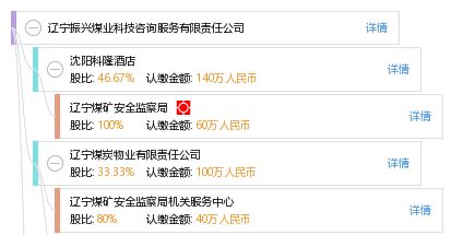 信息技術(shù)咨詢服務(wù) 遼寧振興煤業(yè)科技咨詢服務(wù)有限責(zé)任公司的專(zhuān)業(yè)優(yōu)勢(shì)